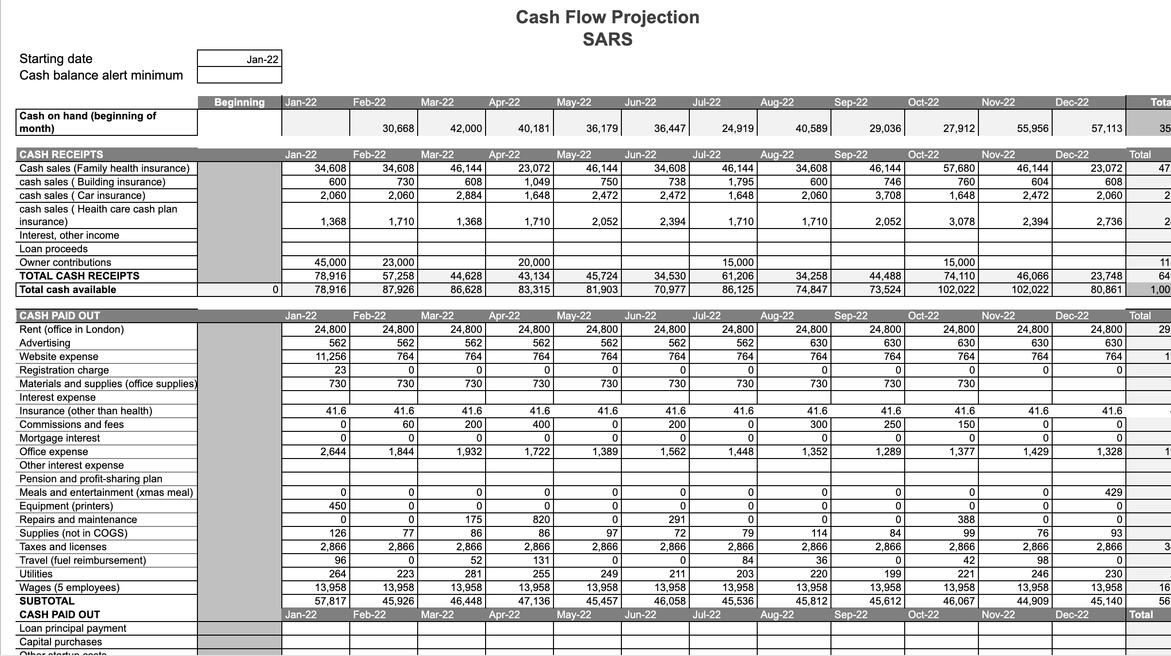SARS Cash flow Projection